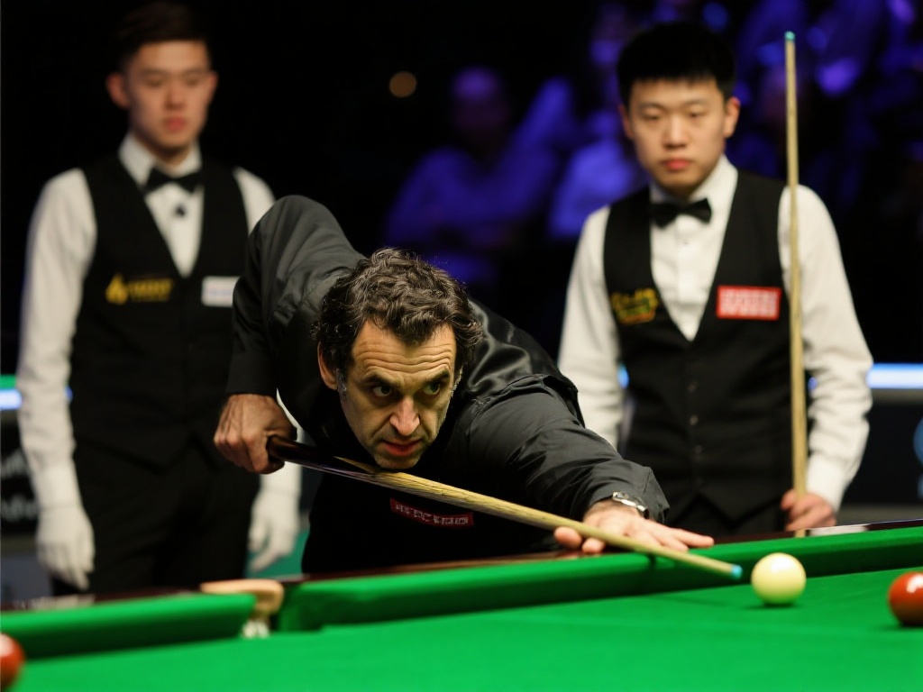 平台还定期 平台还定期